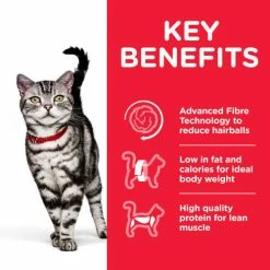Hills Science Plan Adult Hairball & Indoor Dry Cat Food Chicken -Cat shop Thumbnail 2 604184 Key benefits f0ib1d