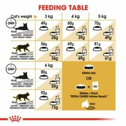 Royal Canin Sphynx Cat Adult Dry Cat Food -Cat shop a31esdeqvgdrkg5zf2de cfwc4b