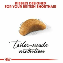 Royal Canin British Shorthair Kitten Dry Cat Food -Cat shop b7ede751pa5ehopgbhab pobx0j