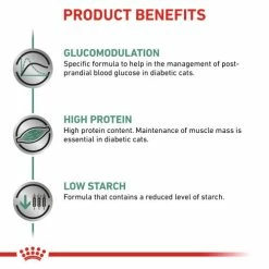 Royal Canin Veterinary Diets Diabetic Dry Adult Cat Food -Cat shop bftcttl1tldqkqn3cxua hicjmk