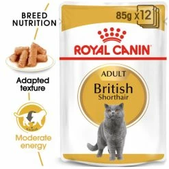 Royal Canin British Shorthair In Gravy Adult Wet Cat Food Pouches -Cat shop c7l8mcy32m4bn4gfw5mt dw86xt