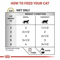 Royal Canin Veterinary Diets Urinary SO Moderate Calorie Cat Food -Cat shop c8ciqw5qm9guzat5wlq3 fezw45