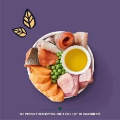 Cat shop -Cat shop c907bf6b5fed2bf8d39698d2193c6d5abbb66adc74d8253bd30a7b47b351413c