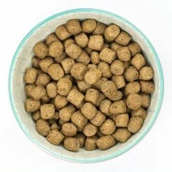 Burns Pet Nutrition Burns Alert Assistance Dog Dry Food With Chicken & Brown Rice -Cat shop ce744d4e681d6f5bbefee6dbec648d330d8ef8180e256f4adcbcd4a42152966e