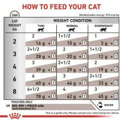 Royal Canin Veterinary Diets Gastrointestinal Wet Adult Cat Food -Cat shop cpr20h8xdtq0kql2j1nn vj7x85