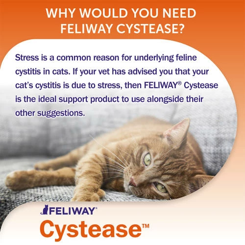 Feliway Cystease Cat Urinary Supplement 5 Feliway Cystease Cat Urinary Supplement - Image 3