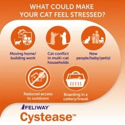 Feliway Cystease Cat Urinary Supplement 11 Feliway Cystease Cat Urinary Supplement -Cat shop cystease pages 2 ujxkxu