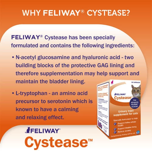 Feliway Cystease Cat Urinary Supplement 7 Feliway Cystease Cat Urinary Supplement - Image 5