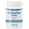 Protexin Cystophan Capsules For Cats 2 Protexin Cystophan Capsules For Cats -Cat shop cystophan 30
