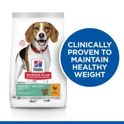 Hill's Science Plan Hill's™ SCIENCE PLAN™ Specialty Medium Breed Adult Perfect Weight Dry Dog Food With Chicken -Cat shop dc2285158ddcf3839cc37fcdbaca4a0343bb69b73f6f4583d32aead4590e377c