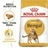 Royal Canin Bengal Dry Adult Cat Food -Cat shop ddaicyda9gavr4damwkl xcffsk