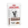 Royal Canin Veterinary Diets Gastrointestinal Wet Adult Cat Food -Cat shop dxztk8et22otmtdrgapq rtv563