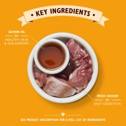 Lily's Kitchen Chicken Paté Cat Food -Cat shop e92fddcb8a4ea5d4c3501f035c4213e60abd4de19a8e29761774d21651c08a47