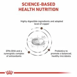 Royal Canin Veterinary Diets Hepatic Dry Adult Cat Food -Cat shop ecwtxfqz00voqdgfgfo8 zmfuns