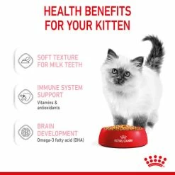 Royal Canin Kitten In Jelly Wet Cat Food Pouches -Cat shop evhae3kvmu8qsjt21oe1 rau93z
