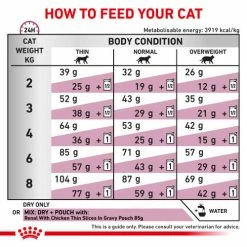 Royal Canin Veterinary Diets Renal Special Dry Adult Cat Food -Cat shop ewled1cetbegqhstakk6 ytcbdr
