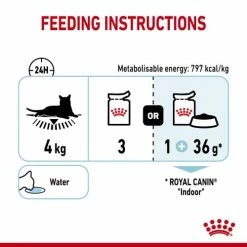Royal Canin Sensory Feel In Jelly Wet Adult Cat Food 11 Royal Canin Sensory Feel In Jelly Wet Adult Cat Food -Cat shop gfwikg2vikinpxasff9c wxgumv