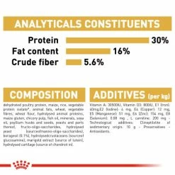 Royal Canin Norwegian Forest Cat Adult Dry Cat Food -Cat shop goq0ycmwbulyogtqthol kffjhw