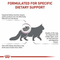 Royal Canin Veterinary Diets Renal Special Dry Adult Cat Food -Cat shop gthldww30cnupn5hfhfx hzplik