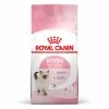 Royal Canin Kitten Dry Cat Food -Cat shop gvmtossfsldmlvbcqmxa ltemjb