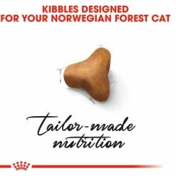 Royal Canin Norwegian Forest Cat Adult Dry Cat Food -Cat shop h4vwplbbguxvxbanxktv gaqxf0