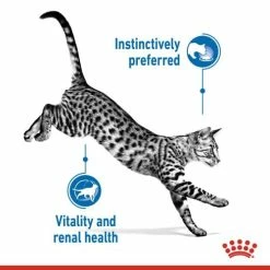 Royal Canin Indoor Sterilised 7+ In Gravy Wet Adult Cat Food -Cat shop hbyh1bamcelueq5msojs efz8o1