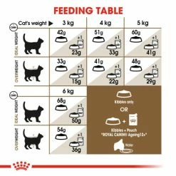 Royal Canin Ageing 12+ Dry Adult Senior Cat Food 12 Royal Canin Ageing 12+ Dry Adult Senior Cat Food -Cat shop hero4 edjnns