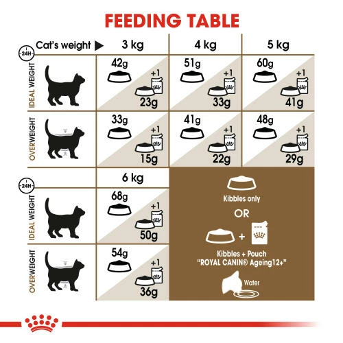 Royal Canin Ageing 12+ Dry Adult Senior Cat Food 7 Royal Canin Ageing 12+ Dry Adult Senior Cat Food - Image 5