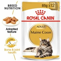Royal Canin Maine Coon In Gravy Adult Wet Cat Food -Cat shop hgezi3j9aydv525rmo9u mb37ia
