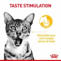 Royal Canin Sensory Taste In Gravy Wet Adult Cat Food -Cat shop hwugo48zvdg3masdjkvr i90af9 1