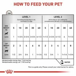 Royal Canin Veterinary Diets Feline & Canine Recovery Mousse Wet Food -Cat shop jkgko8knrxvqke5v2wfw uj2ds6