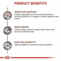 Royal Canin Veterinary Diets Gastrointestinal Wet Adult Cat Food -Cat shop jrfjduikpb3rpxhaqssq uwdmsk