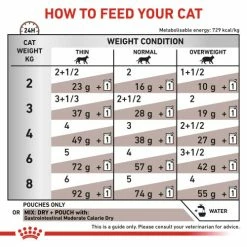 Royal Canin Veterinary Diets Gastrointestinal Mod Calorie Wet Adult Cat Food -Cat shop k3npbmrojg4nazzb1k1x cnwyib
