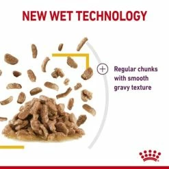 Royal Canin Sensory Taste In Gravy Wet Adult Cat Food -Cat shop klp8ozww8nlyturkkewk ytl4dp 1