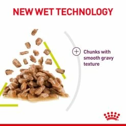Royal Canin Sensory Smell In Gravy Wet Adult Cat Food 12 Royal Canin Sensory Smell In Gravy Wet Adult Cat Food -Cat shop kpuovoj1c6cgpbkimfsz g86sxq