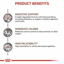 Royal Canin Veterinary Diets Gastrointestinal Moderate Calorie Dry Adult Cat Food -Cat shop kuxsldtllloenlaklqbl xijxgm