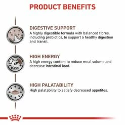 Royal Canin Veterinary Diets Gastrointestinal Dry Adult Cat Food -Cat shop kwdar5eajds9zbd24ajn vd7lpl