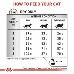 Royal Canin Veterinary Diets Gastrointestinal Fibre Response Dry Adult Cat Food -Cat shop llypwp6zzjw43p87ynfc x64yhy