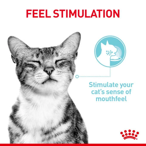 Royal Canin Sensory Feel In Jelly Wet Adult Cat Food 5 Royal Canin Sensory Feel In Jelly Wet Adult Cat Food - Image 3