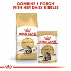 Royal Canin Maine Coon Dry Adult Cat Food -Cat shop lxdppgtzrhaviv9j1kho vw6rev