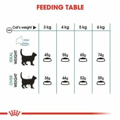 Royal Canin Hairball Care Dry Adult Cat Food -Cat shop mwkaupx1okhzak9xt4ov pf21eq