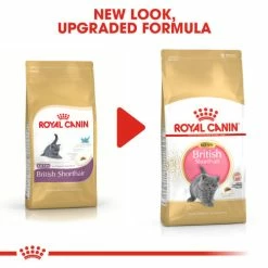 Royal Canin British Shorthair Kitten Dry Cat Food -Cat shop nildqxbrqmyzdhpz8gvf jg61bo