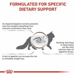 Royal Canin Veterinary Diets Gastrointestinal Dry Adult Cat Food -Cat shop nmznera6ubnenysmy0ud ewfuie