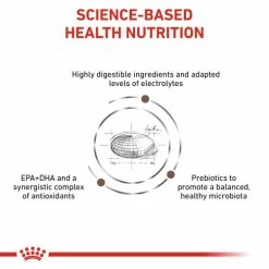 Royal Canin Veterinary Diets Gastrointestinal Moderate Calorie Dry Adult Cat Food -Cat shop oeclqc8wtobyozvfip4g id39fr