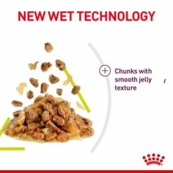 Royal Canin Sensory Smell In Jelly Wet Adult Cat Food -Cat shop ojxbhirwzx2qb6jsyecc efh9iy 1