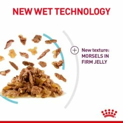 Royal Canin Sensory Feel In Jelly Wet Adult Cat Food 12 Royal Canin Sensory Feel In Jelly Wet Adult Cat Food -Cat shop p3qby35lhh86vsc8nydp zsobtb