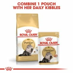 Royal Canin Persian Dry Adult Cat Food -Cat shop p6w65kfy5jwxnuav3tma sa89cu