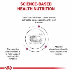 Royal Canin Veterinary Diets Mobility Dry Adult Cat Food -Cat shop ph8146btmztsavyb5rsu a8rfjf