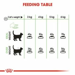 Royal Canin Digestive Care Dry Adult Cat Food -Cat shop pmd5gqfq1eovxzd6utb3 io6m1s
