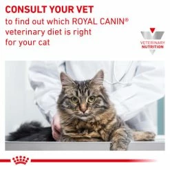 Royal Canin Veterinary Diets Mobility Dry Adult Cat Food -Cat shop pngc31vpbp4hpyw97ku6 iidfes